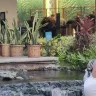  A woman stands before a fountain with a waterfall, surrounded by lush topical plants in the background